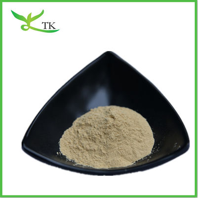 White Fungus Tremella Mushroom Powder Tremella Fuciformis Extract Polysaccharide