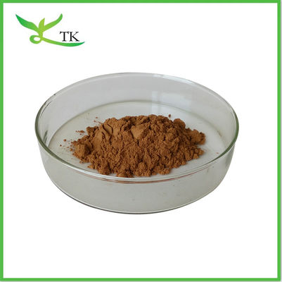 Wholesale Natural Dandelion Root Extract Powder Dandelion Extract Flavones 5% 10%