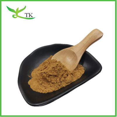 Hot Sale Spine Date Seed Extract Powder Traditional Chinese Food Zizyphus