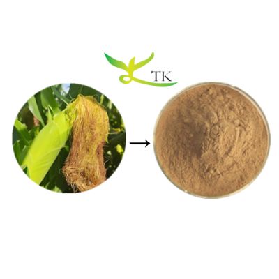 Natural Plant Extract Food Grade Corn Silk Extract Powder 4:1 10:1 Water Soluble