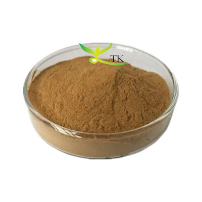 Natural Herbal Extract Terminalia Chebula Extract Powder in Bulk