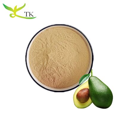 Wholesale Price ASU Avocado Soybean Unsaponifiable Extract Powder Bulk
