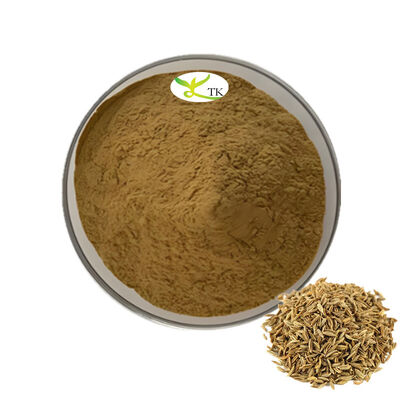 100% Natural Fennel Extract Powder 4:1 10:1 Organic Fennel Fruit Extract