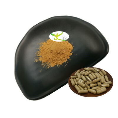 Natural Gingko Biloba Extract Powder Ginkgo Biloba Leaf Extract Ginkgo Flavonoids 24%