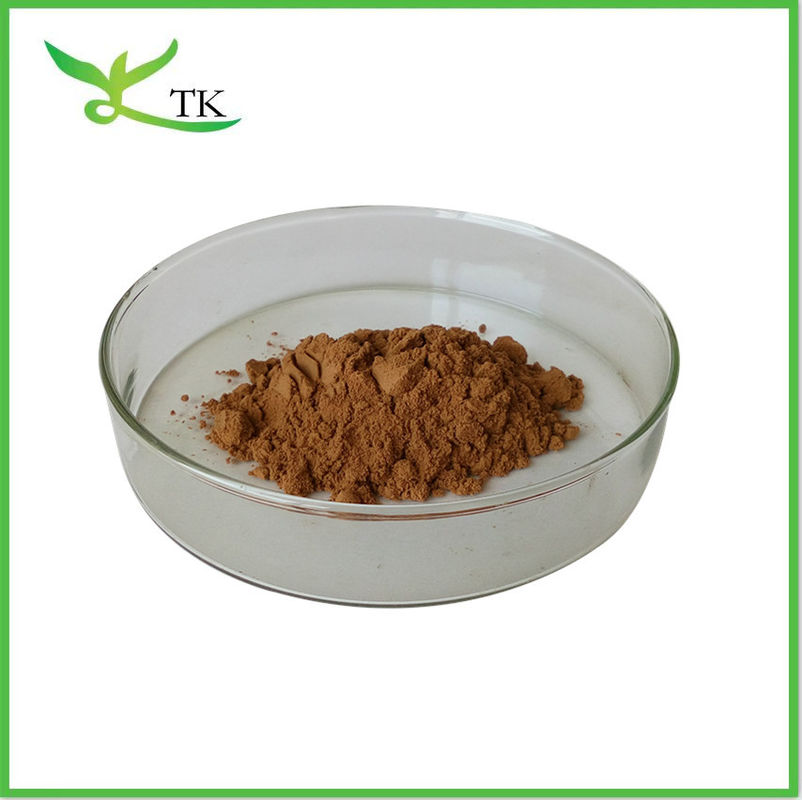 Wholesale Natural Dandelion Root Extract Powder Dandelion Extract Flavones 5% 10%