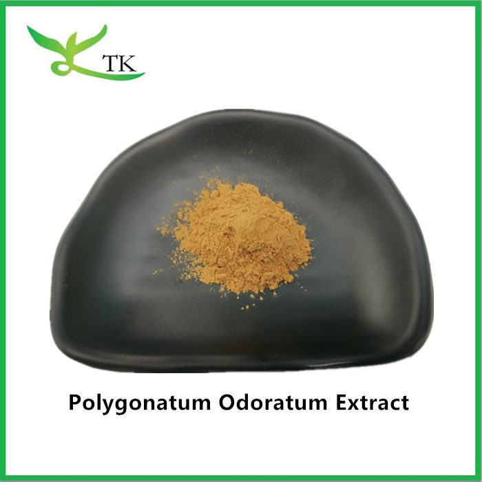 Natural Food Grade Polygonatum Odoratum Extract Polygonatum Odoratum Root Powder Price