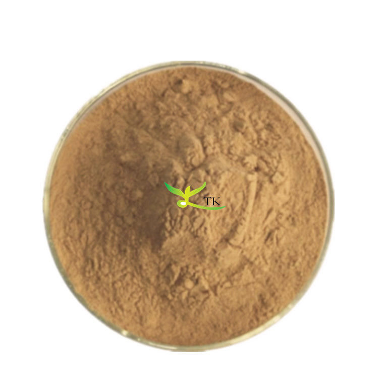 100% Natural Food Grade Onion Peel Extract Red Onion Extract Powder Price