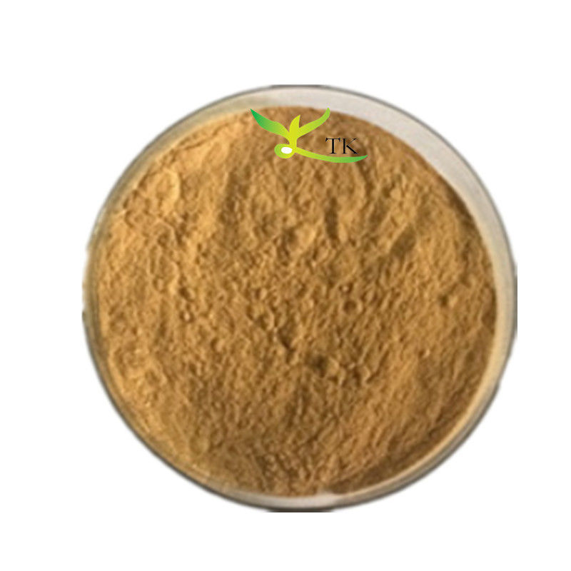 Best Price Horsetail Extract China Horsetail Herb Extract Horsetail Extract 7%