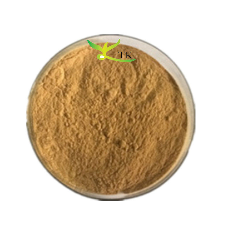 Natural Chinese Traditional Herb Rhizoma Picrorhizae Extract Powder Hu Huang Lian Extract