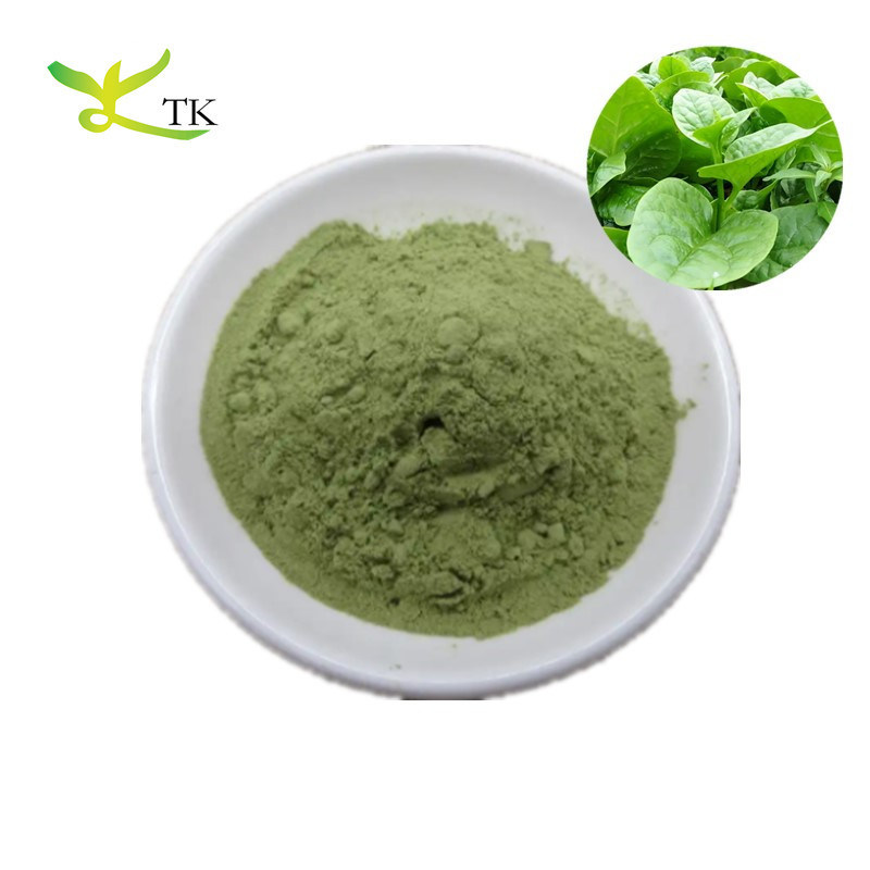 Wholesale Price Pure Natural Malabar Spinach Powder Basella Alba Extract Powder