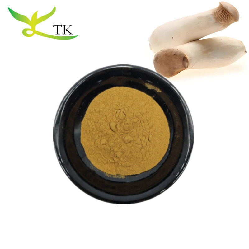 Food Grade Natural King Oyster Mushroom Extract Powder Polysaccharide 10% 30%