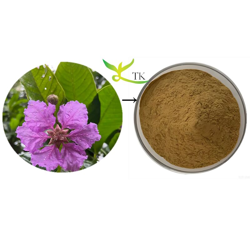 Natural Plant Extract Lagerstroemia Speciosa Banaba Leaf Leaves Extract Banaba Extract Corosolic Acid Powder