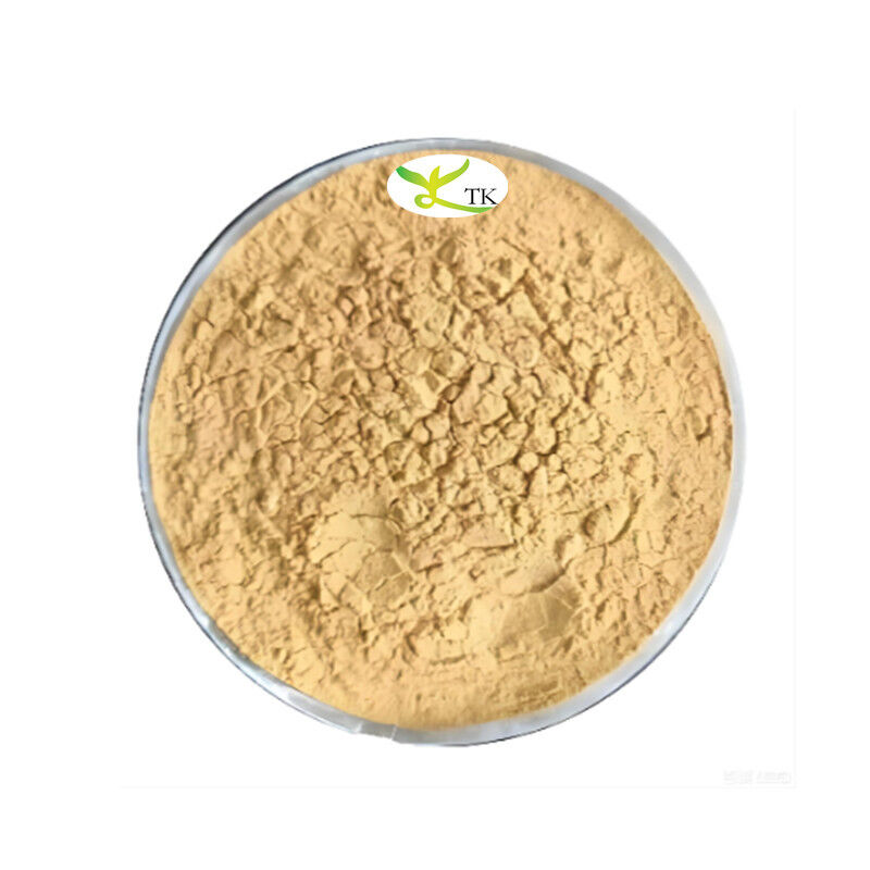 100% Natural Kelp Extract Fucoidan Powder For Healthcare Supplement