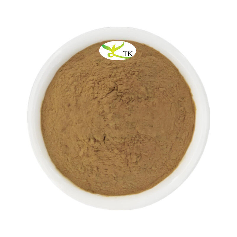 Wholesale Price Natural Fig Leaf Extract Powder Fig Leaves Extract 4:1 10:1