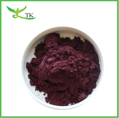 Nahrungsmittelzusatzstoffe Spray getrocknetes Acai-Beere-Extraktpulver