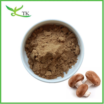 Reine natürliche Pflanzen Shiitake Pilze Extrakt Pulver Polysaccharide Shiitake Pilze Pulver
