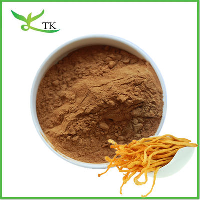 Natürlicher Pilzextrakt Pulver Cordyceps Militaris Extrakt Pulver Polysaccharid Cordycepin