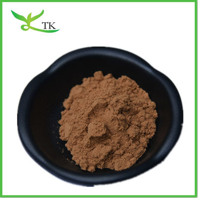 30% Polysaccharide Chaga Pilzextraktpulver
