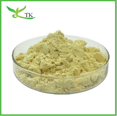 Kavawurzelpflanzenextrakt Pulver Kavalacton 10% 30% Kava Piper Methysticum Extrakt