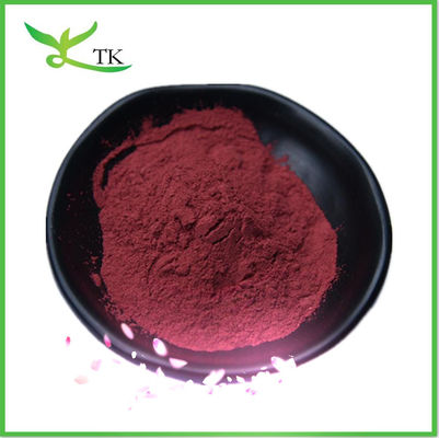Großhandel lösliches Cranberry-Extraktpulver Anthocyanin 25% OPC Pulver