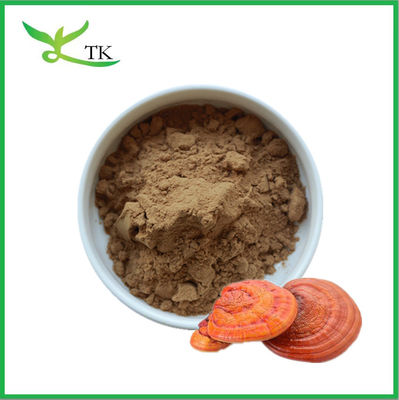Bestpreis 100% natürlicher Reishi Pilzextrakt Pulver Polysaccharide 30%