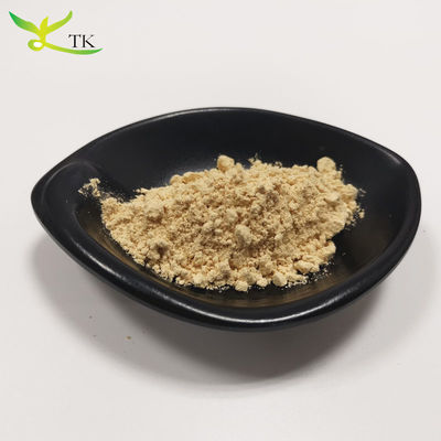 Superfood Gesundheit Hericium Erinaceus Extrakt Löwenmaulpilzpulver