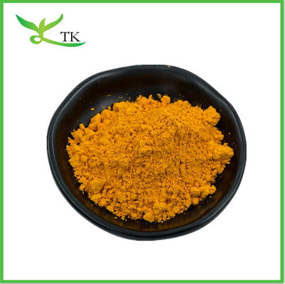 Orange Gelb Natürliches Curcumin 95% Pulver Kurkuma-Extrakt Pulver