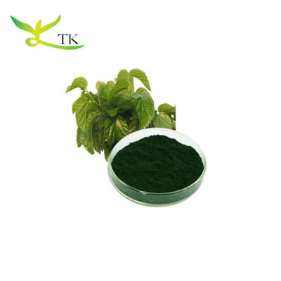 Großhandel Bestpreis Pigmentpulver Chlorophyll Natrium Kupfer Chlorophyllin in großen Mengen