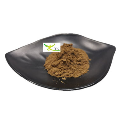 Natürlicher Pilzextrakt Polysaccharid 20% Chaga-Pilzextrakt Pulver