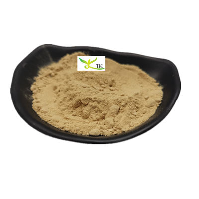Beste Preis Lebensmittelqualität Kürbiskorn-Proteinpulver 80% Kürbiskorn-Extraktpulver