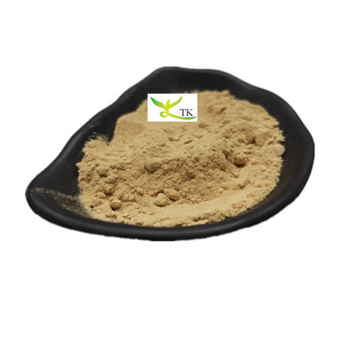 Großhandelspreis Natürliches Jiaogulan 80% Gynostemma Pentaphyllum Extrakt Pulver