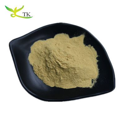 ISO-Fabrik Olivenblatt-Extraktpulver Oleanolsäure Maslinsäure Oleuropein Hydroxytyrosol