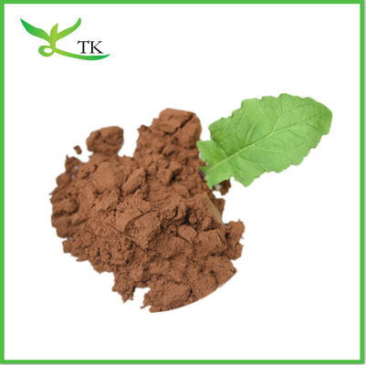 Lignosus Rhinocerus Beta Glucane Polysaccharide Tigermilch Pilzepulver Extrakt