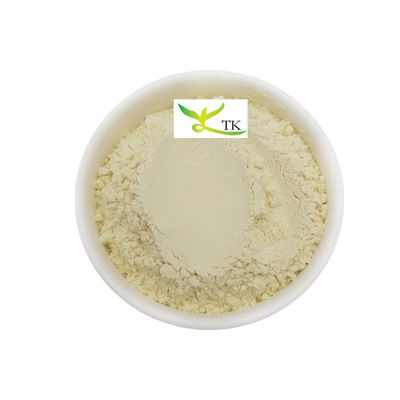 Natürlicher Pflanzenextrakt Mangoblätter Extrakt Pulver Mangiferin 95% CAS 4773-96-0