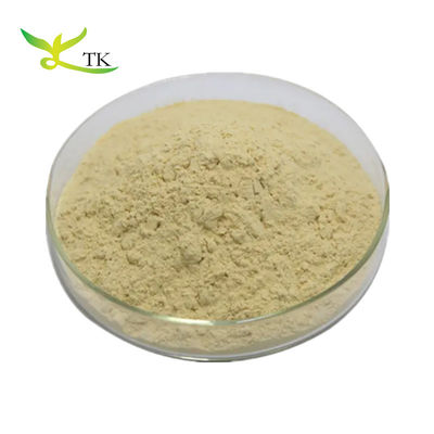 Natürlicher Pflanzenextrakt Pulver Antioxidans Taxifolin Dihydroquercetin 90% 98%