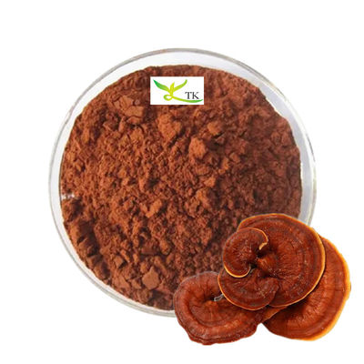 Großhandelspreis Großhandel 100% natürliches Ganoderma Lucidum Reishi Pilzsporenpulver