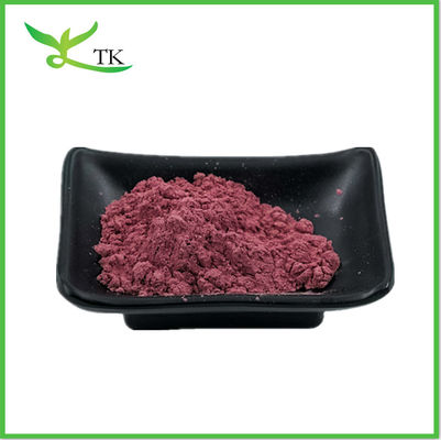 Natrual Best Price Aronia Beere Extrakt Pulver 15% Anthocyanidine Aronia Melanocarpa