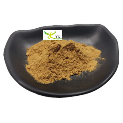 Großhandelspreis Angebot Natürliches Nasturtium Officinale Wasserkressenextrakt 10:1 Wasserkressenepulver