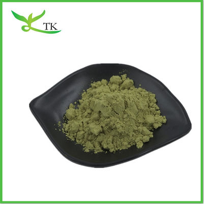 Großhandel Moringa Oleifera Teepulver Moringa Blattpulver Kapseln Pulver in großen Mengen