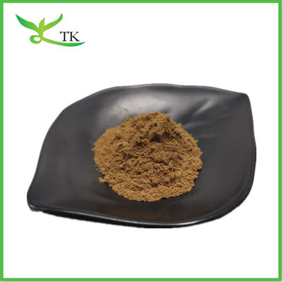 Wasserlöslicher Ivy Leaf Extract 10% Ivy Leaf Extract Pulver