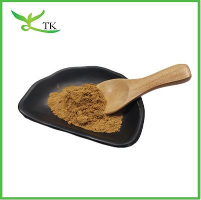 Cordyceps Sinensis 40% Polysaccharide Cordycepinsäure Cordyceps Sinensis Extrakt