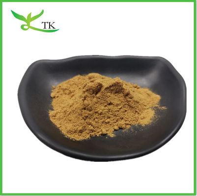 Lignosus Rhinocerus Polysaccharides Tigermilch Pilzextrakt in Pulverform
