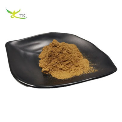 Großhandelspreis Natürliches getrocknetes Ivy Leaf Extract Natürliche Zutaten 10:1 20:1 Ivy Leaf Extract Pulver