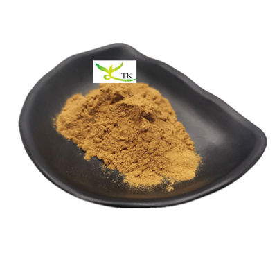 Natürliche pflanzliche Nahrungsergänzungsmittel Panax Quinquefolius Extraktpulver 10:1 20:1 Amerikanischer Ginseng Extraktpulver
