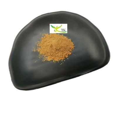 Großhandelspreis Natürliches Agaricus Bisporus-Extrakt Pulver 10% bis 50% Polysaccharide