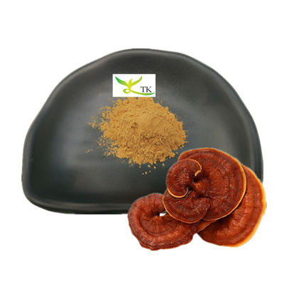 Großhandel Ganoderma Lucidum Extrakt Reishi Pilze Extrakt Pulver Polysaccharide 30%