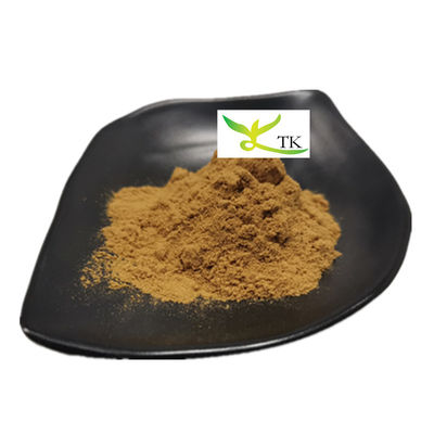 Großhandelspreis 100% natürlicher Tribulus Terrestris Extrakt Pulver Saponine 40% bis 90%