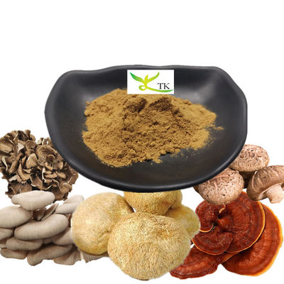 Private Label Truthahn Schwanz Chaga Cordyceps Pilz Kaffee Löwenmaul Pilz Kaffeepulver