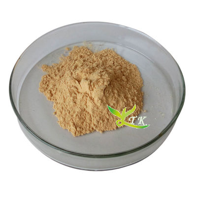 Fucoidan-Pulver aus Meerwasseralgen mit hoher Reinheit