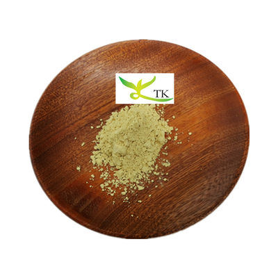 Kava-Wurzel-Extrakt von hoher Qualität 30% Kavalacton Kava-Extrakt Großhandelspreis